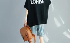 欧美独立站运营二区